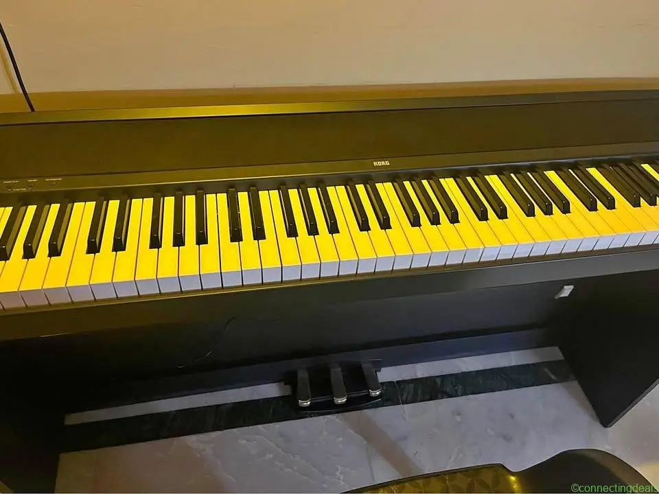 Korg Digital piano
