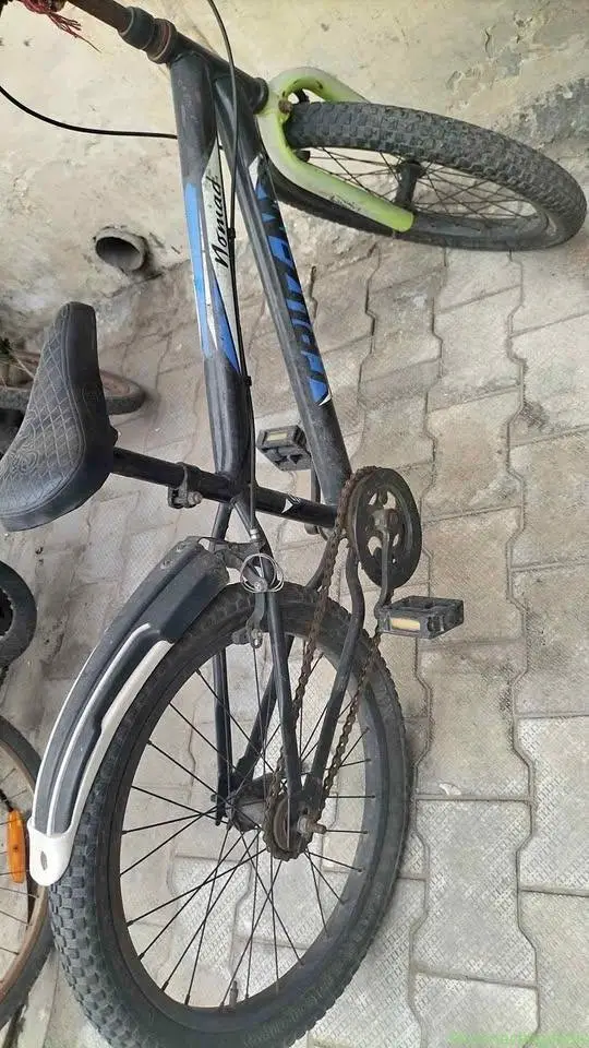 Cycle - Image 1