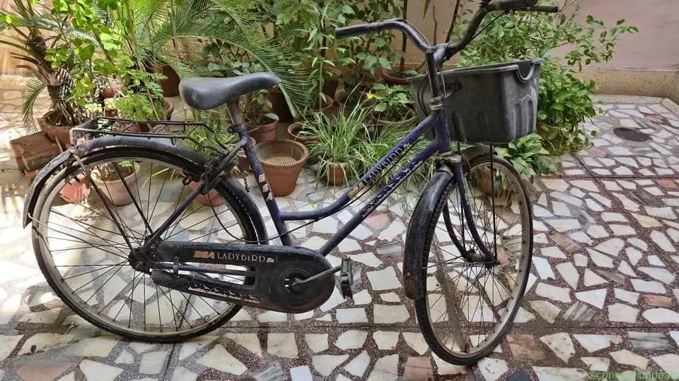BSA Ladybird Cycle for Girls (Up to 18 Years)