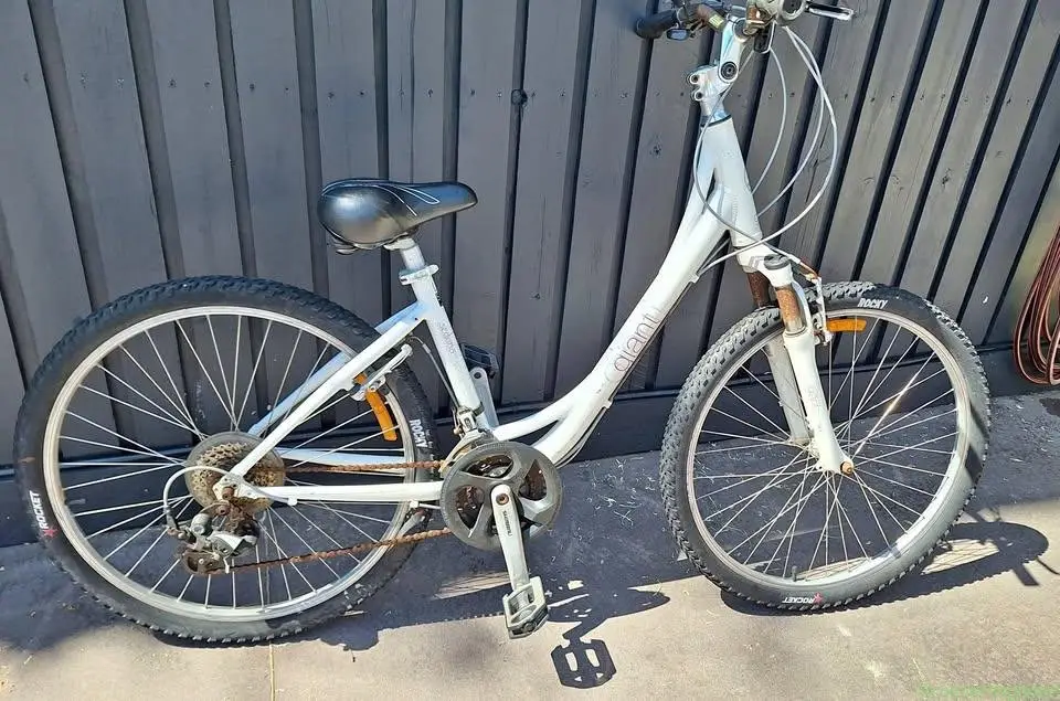Giant Liv Sedona Hybrid Ladies Bike - Small