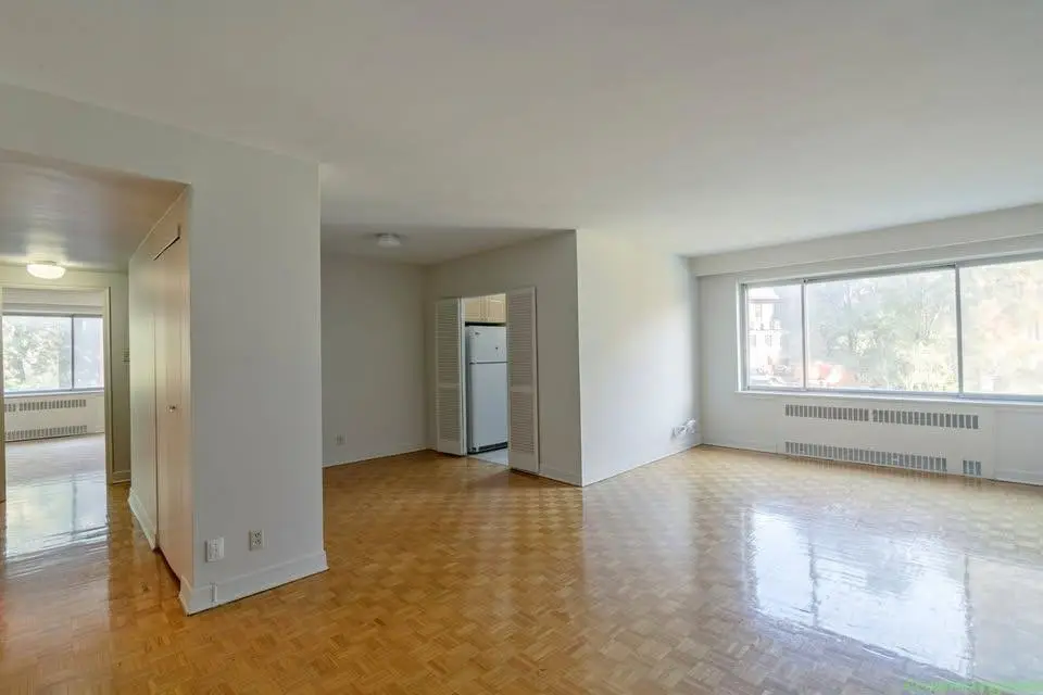 1 Bed 1 Bath Apartment