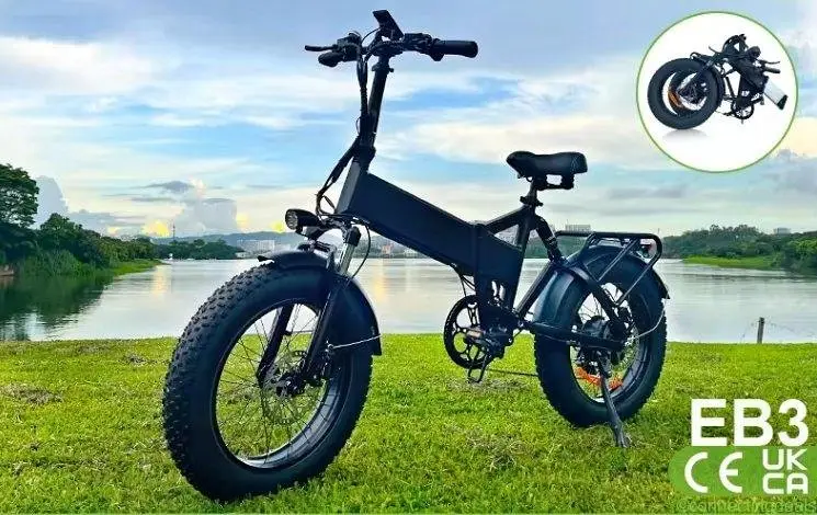 Bicicletta elettrica pieghevole 48V 500W 15AH