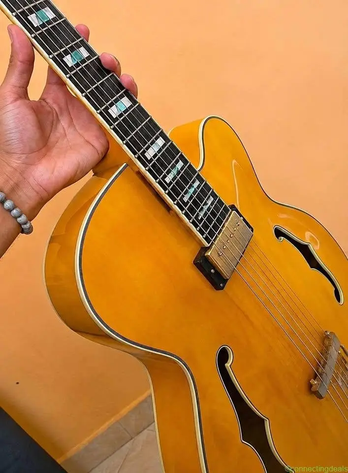 Ibanez PM2 Pat Metheny Signature – Hollow Body