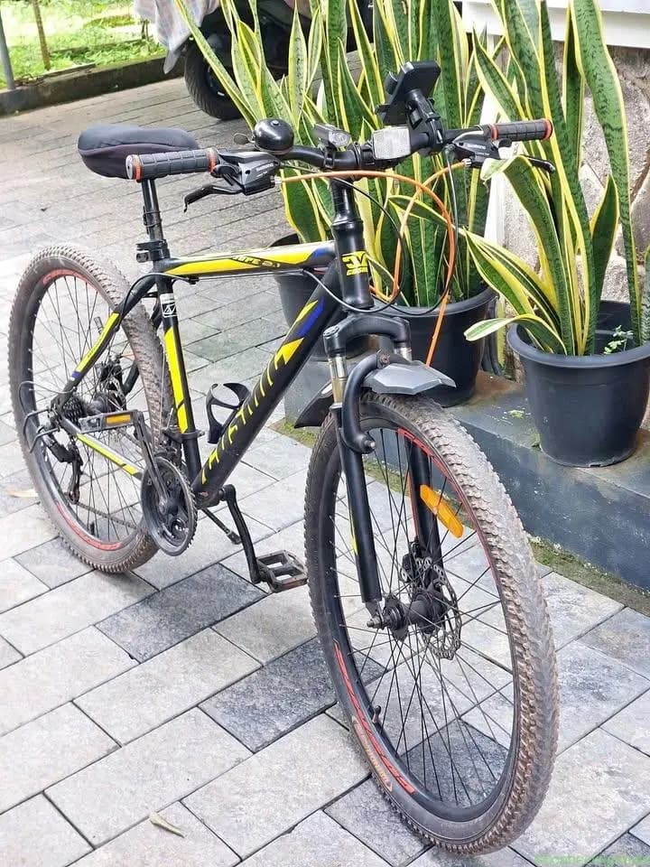 Cosmic Jupe 2.1 Mountain Bike