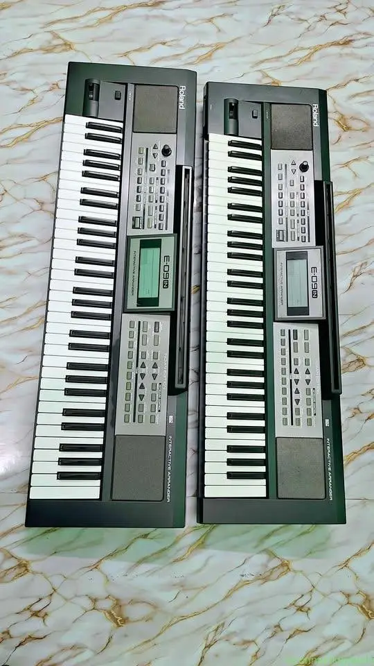 Roland E09 IN