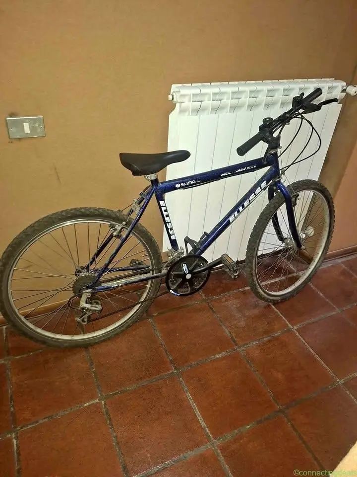 Bici mountain bike