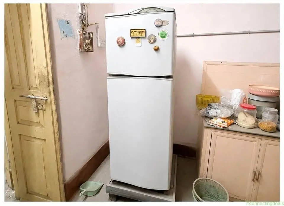 Godrej Double Door 260L Fridge