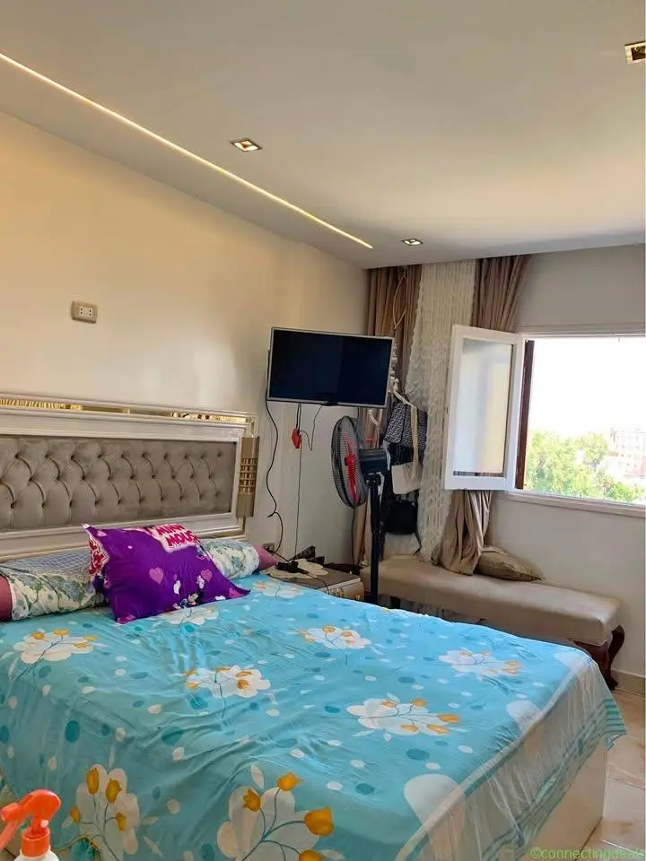 النشار