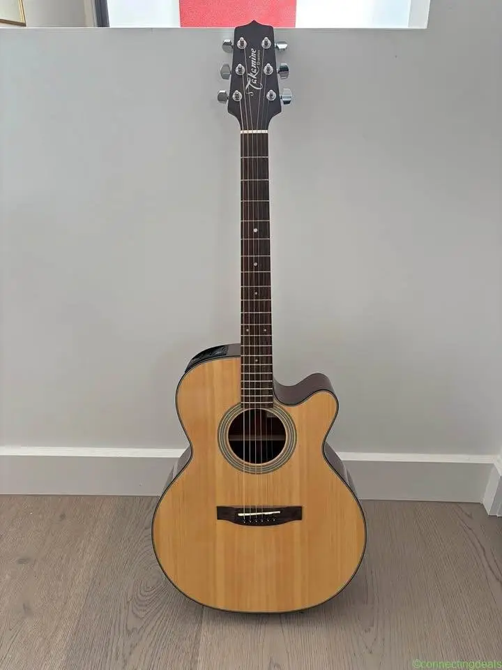 Takamine Dragon steel-string electric acoustic - Image 1