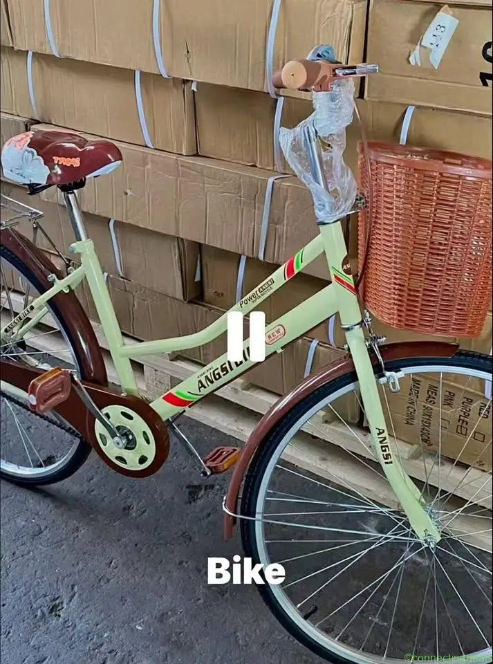 Brand New/Lady Bike/ $60/Firm Sale