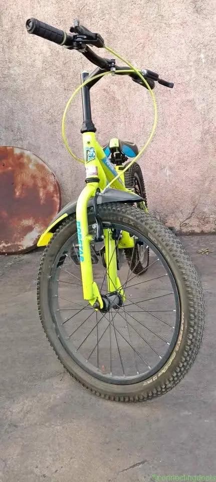 Bicycle - Image 1