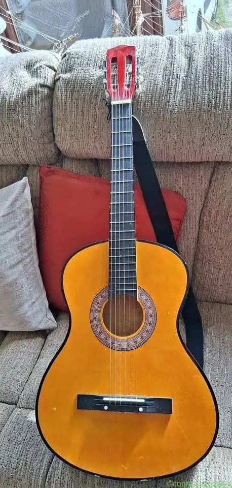 Guitar