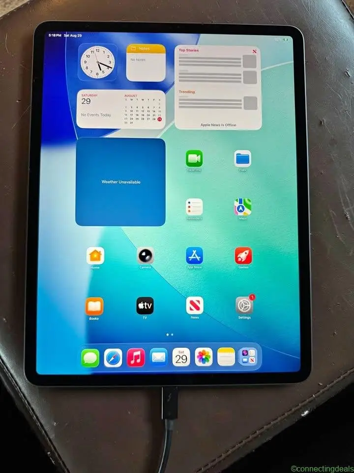 iPad Pro 12.9” (Wi-Fi only) 4th Gen 256 GB