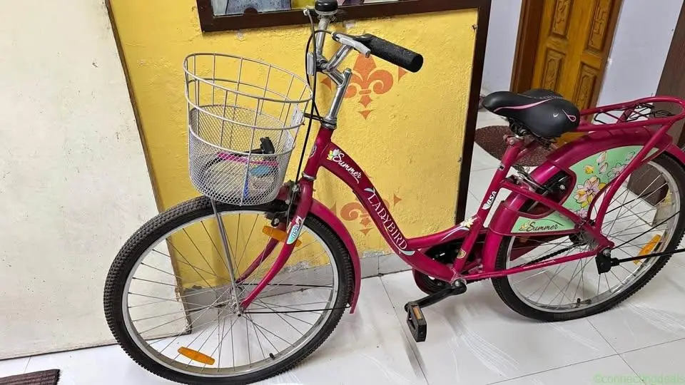 BSA Ladybird Summer Bicycle