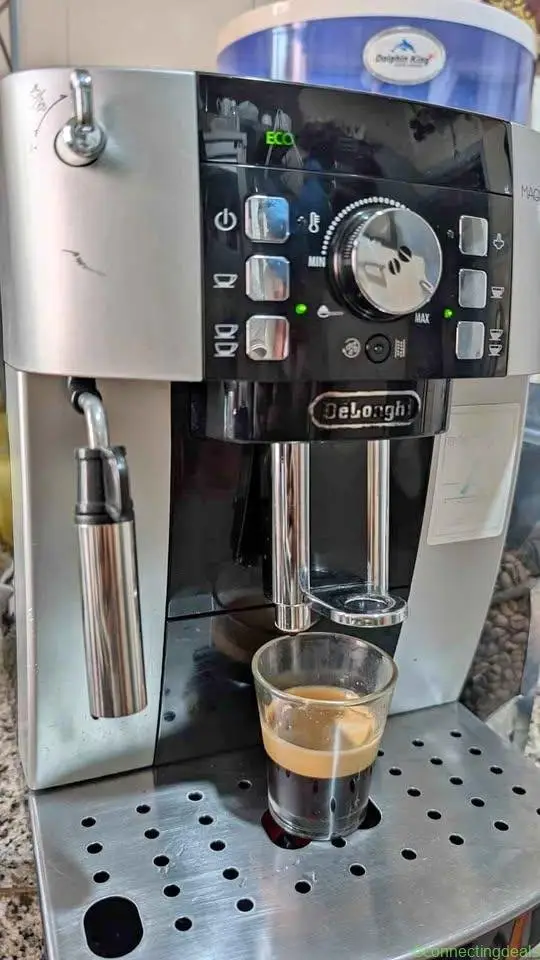 Delonghi Magnifica s