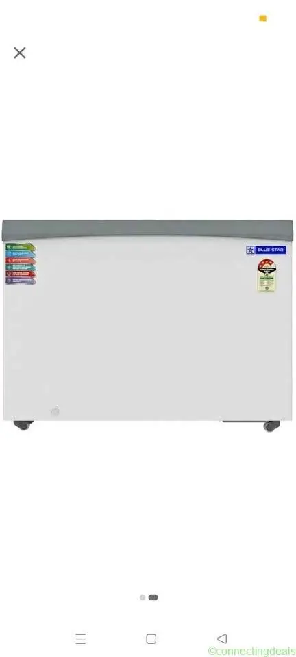 Blue Star Deep Freezer