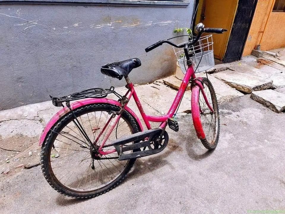 BSA+LADYBIRD+BICYCLE+ - Image 1