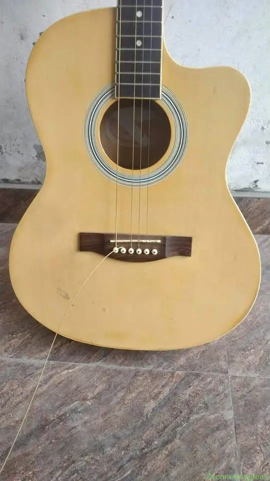 Guitar
