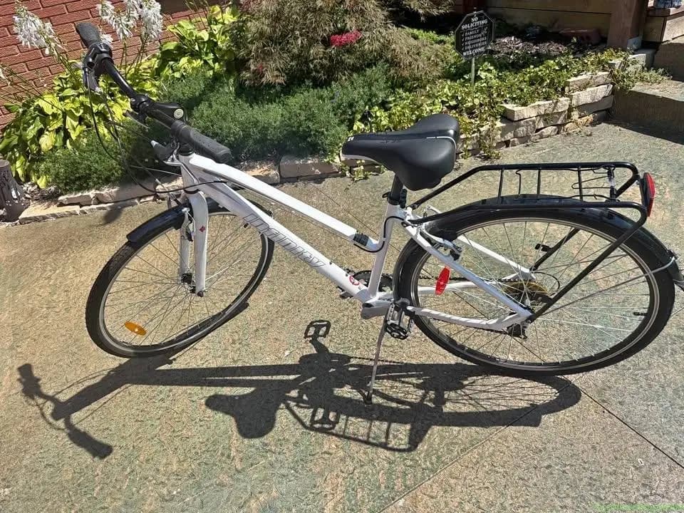 Infinity Boss Three Bike - Image 1