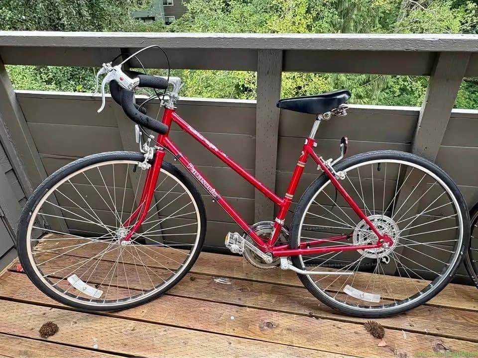 Panasonic Villager III Bicycle