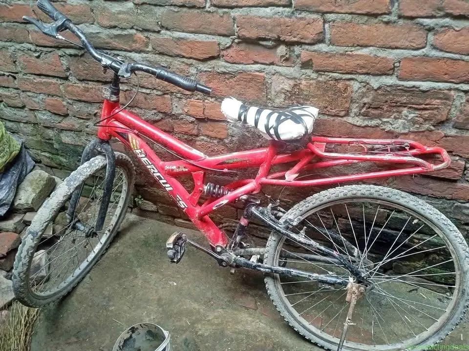 Renzer bicycle - Image 1