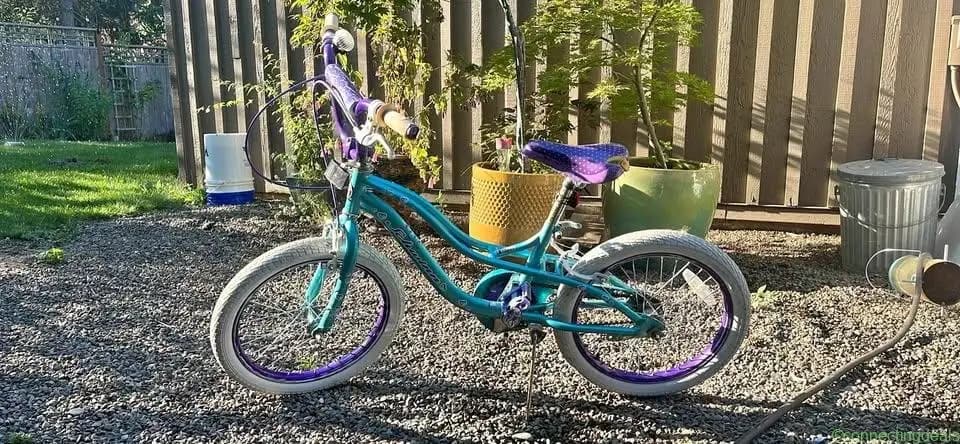 Schwinn Pixie Girls