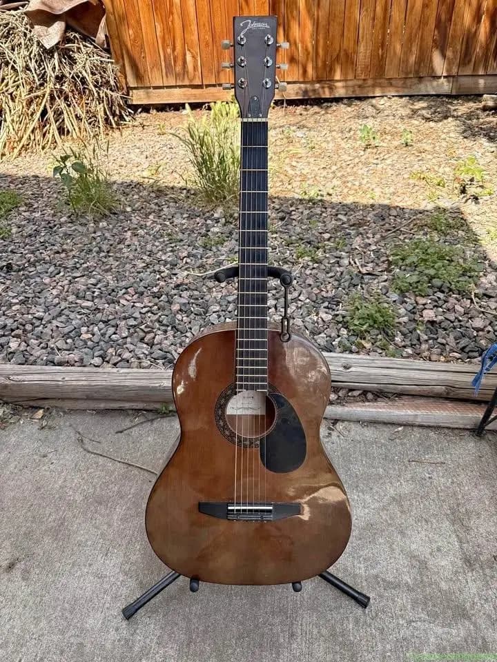Johnson Guitar model JG-100-WL