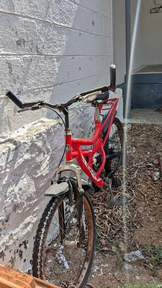 Bicycle