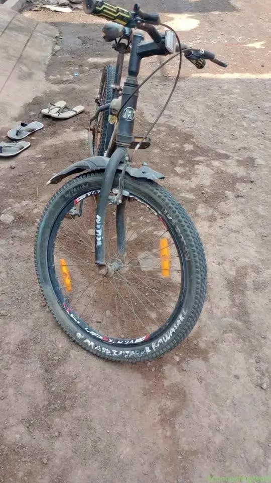 Cycle - Image 1