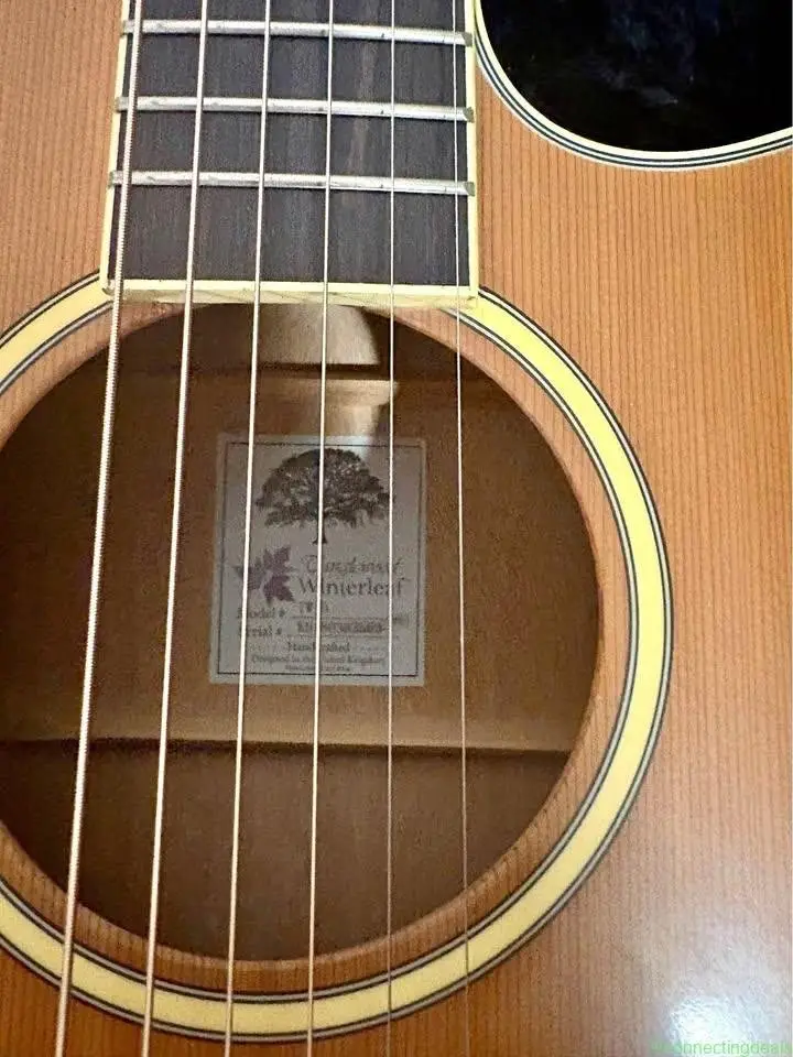Tangelwood Electric/Acoustic guitar TW-10