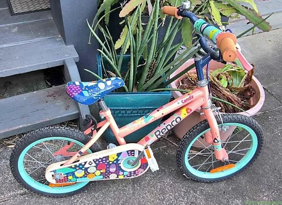 Girls Child Repco Bike Bicycle Ages 3 to 6 Learn
