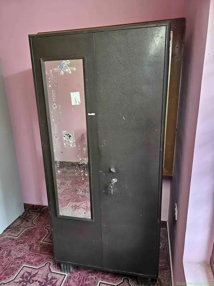 Godrej 2-door Steel Wardrobe