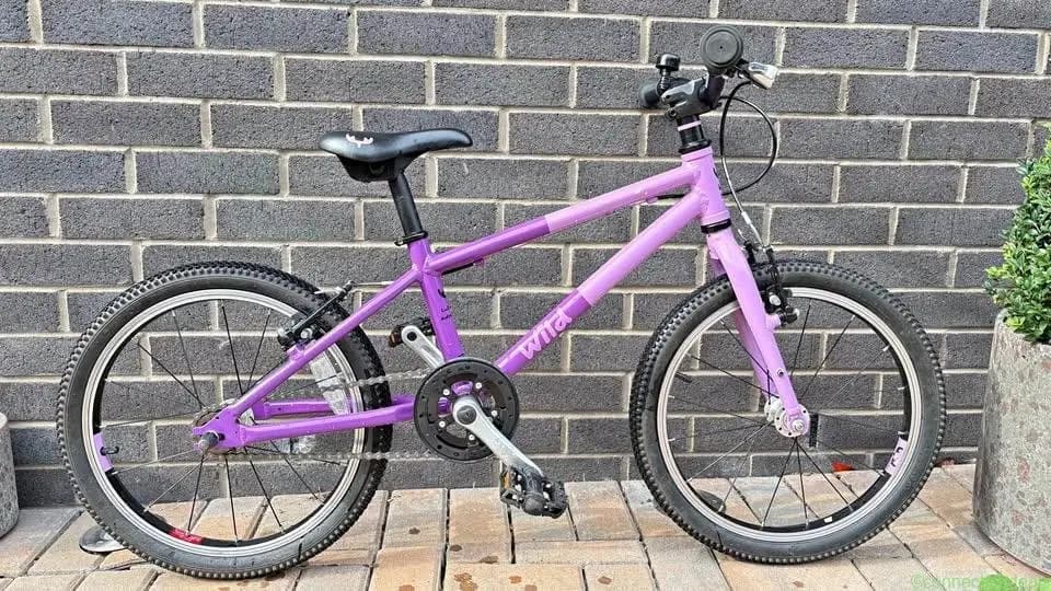 Kids purple Wild Bike 18inch wheel