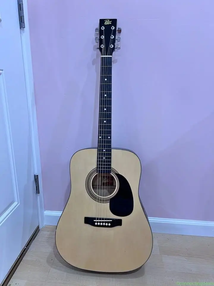 Guitar - Rogue Fine Instruments