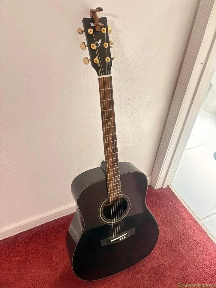 Acoustic guitar