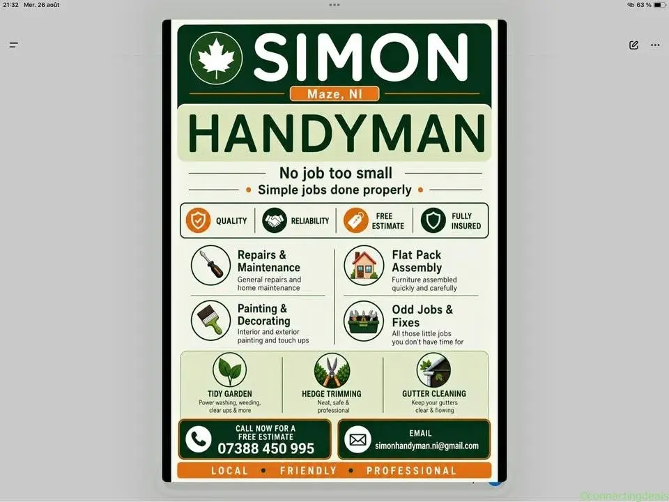 Handyman - Maze & Lisburn area - Image 1