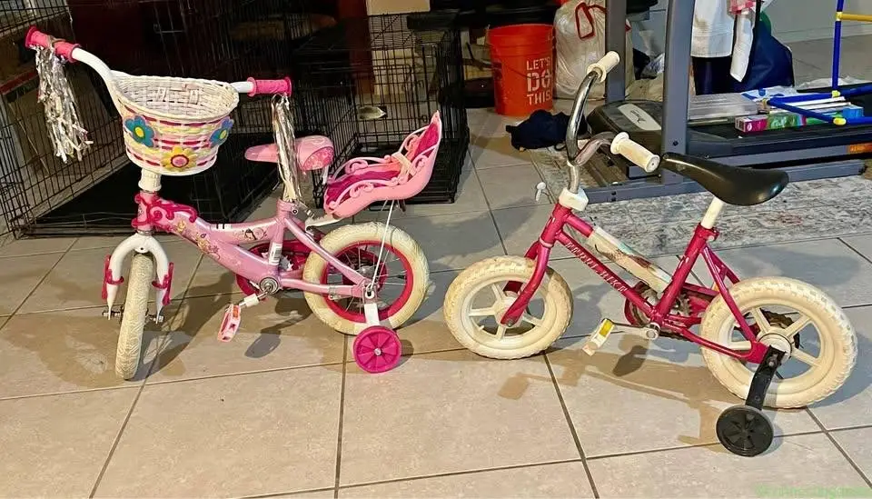 2 bikes $15 - Image 1