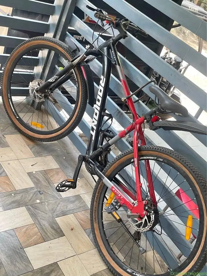 Radiant Ryney 29er, a mountain bike