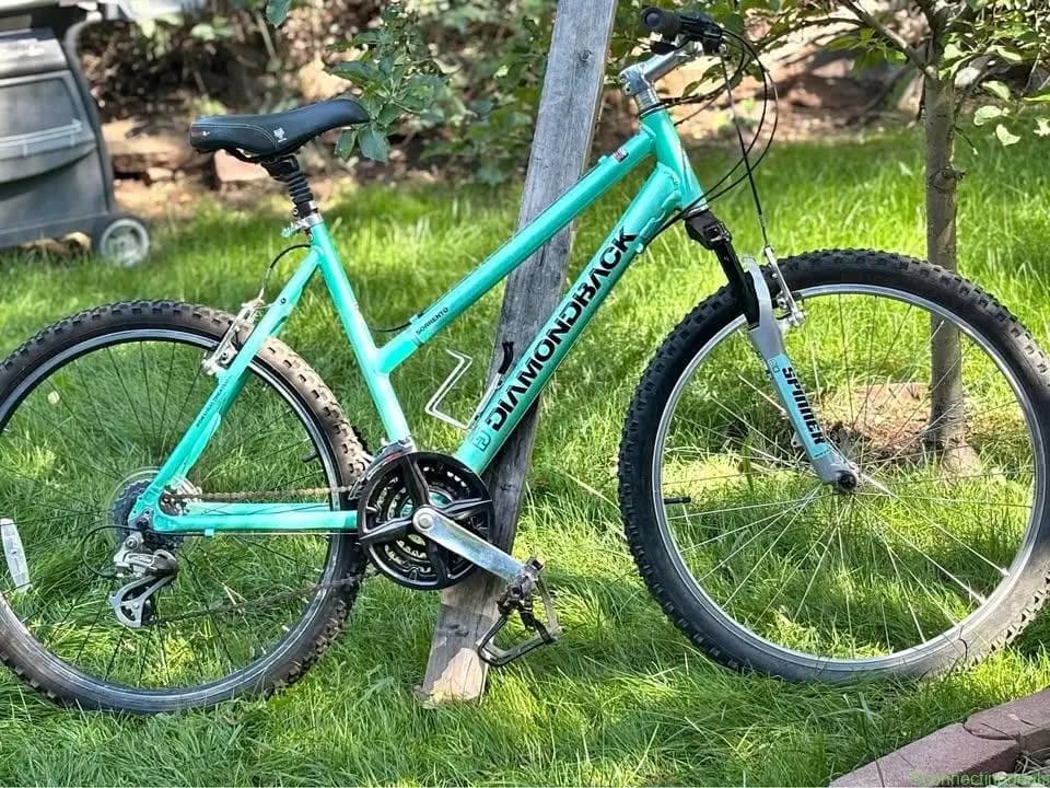 Bicycle . Light trail bike.Great for anyone under
