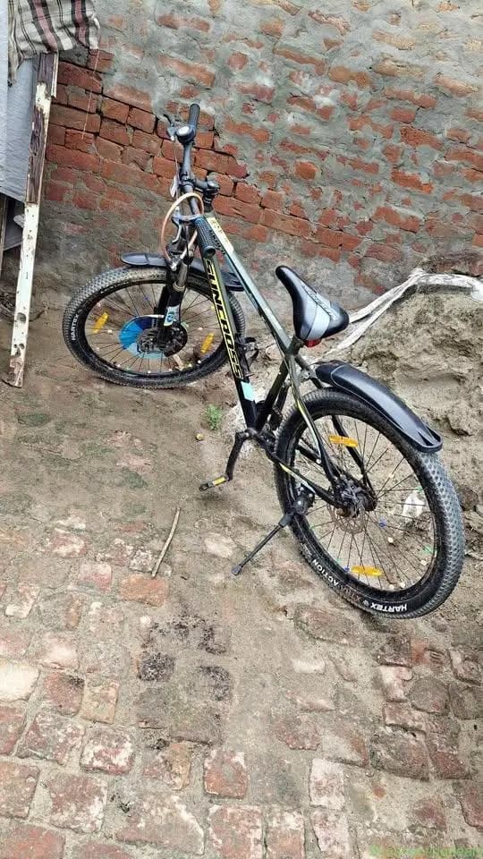 Call 🤙 - 6280062809