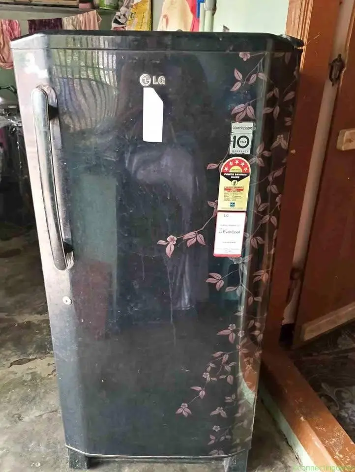 Single Door Refrigerator – Well Maintained |