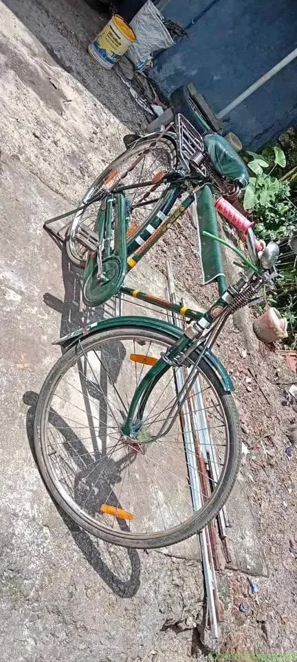 Cycle