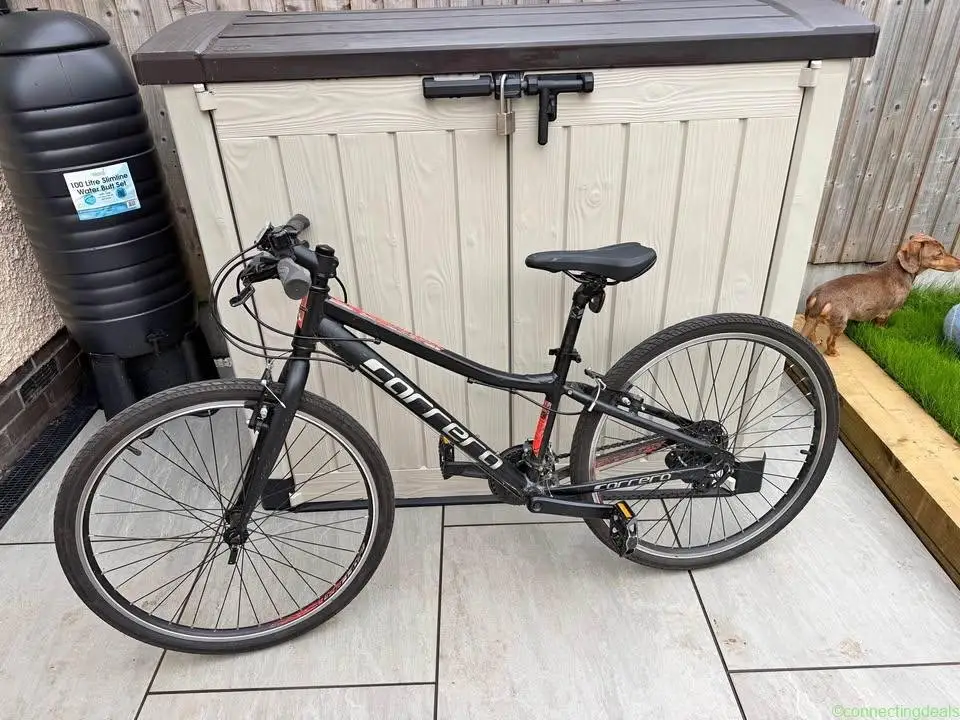 Jr bicycle - Image 1