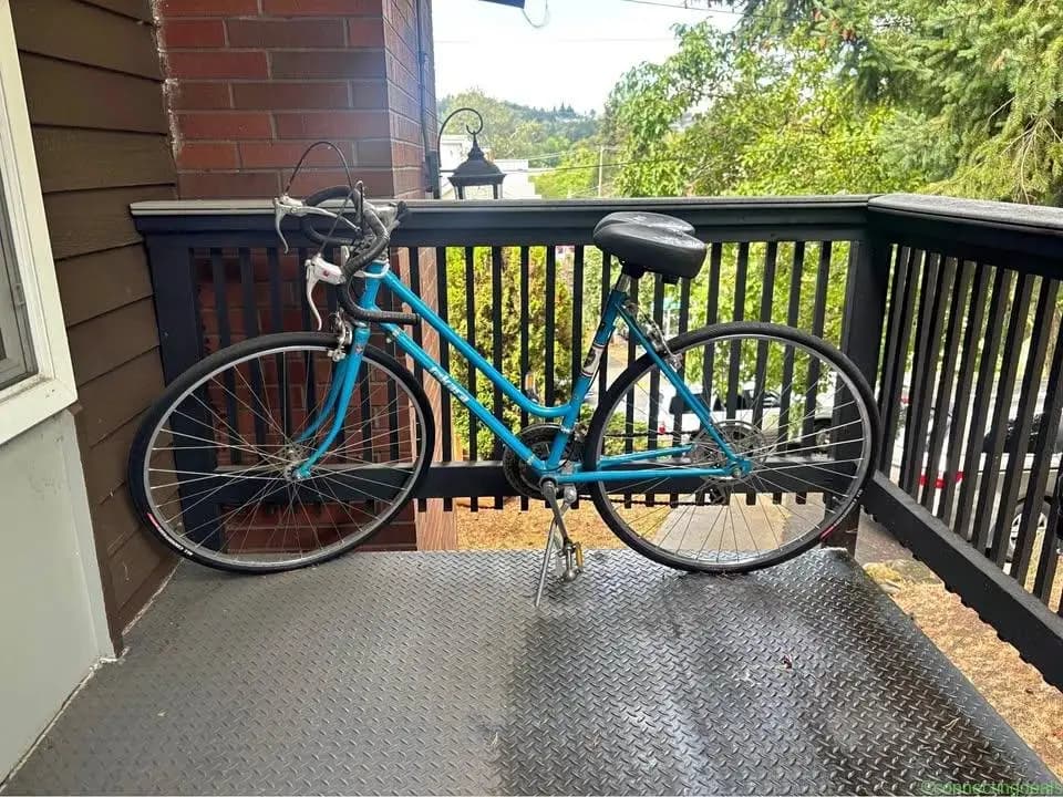 Vintage Nakara step-through bike - Image 1