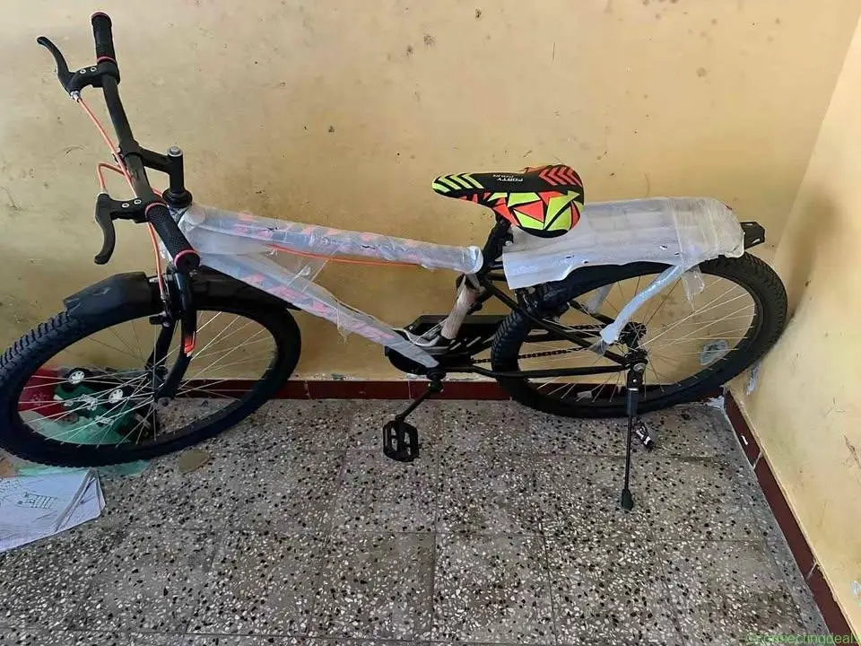 Lexus Mountain Bike - Image 1