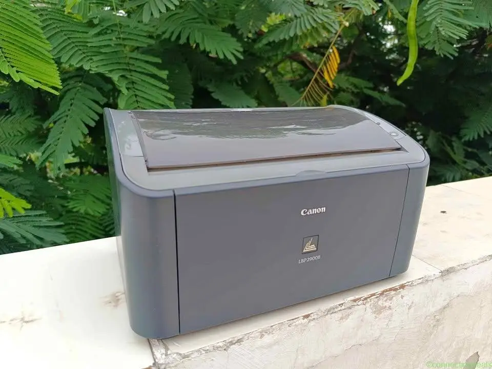 Canon 2900b