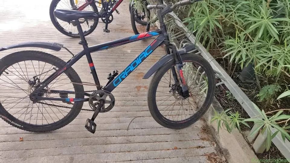 2024 CRADIAC CRADIAC Globetrotter Single Speed