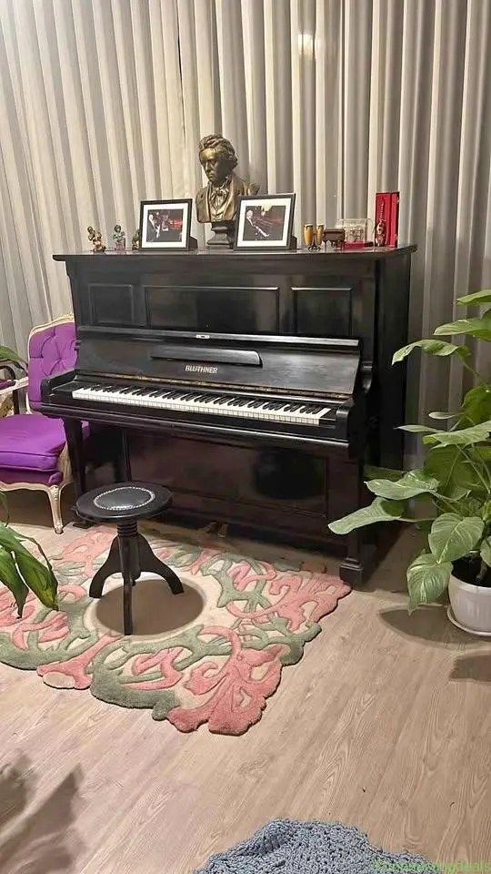 Bluthner piano for sale