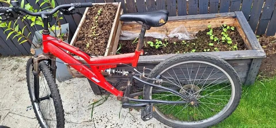 bike for sale