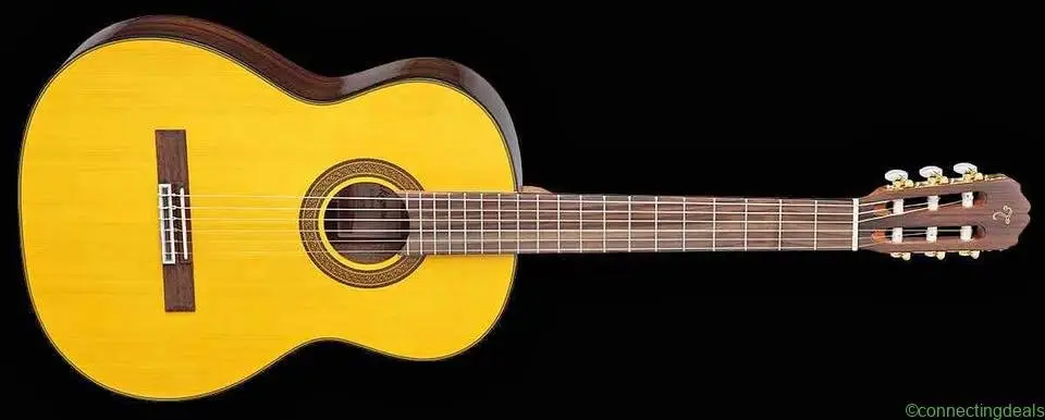 Takamine D Series D30N Classical Guitar –